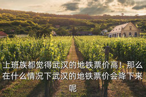 上班族都覺得武漢的地鐵票價高！那么在什么情況下武漢的地鐵票價會降下來呢