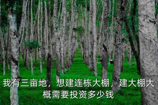 亳州連棟大棚多少錢,建大棚大概需要投資多少錢