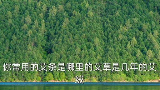 南陽哪里有賣艾絨廠的艾條,你常用的艾條是哪里的艾草