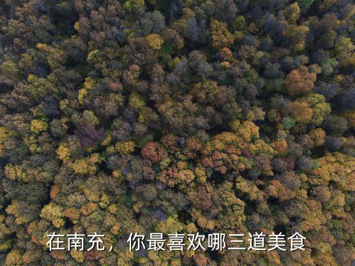 南充雞煲哪里最好吃,南充的哪家火鍋最好吃