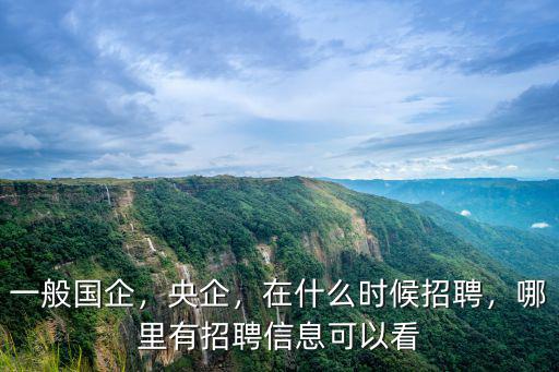 資陽國企招聘信息在哪里看,哪里有招聘信息可以看