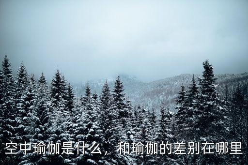 空中瑜伽是什么，和瑜伽的差別在哪里