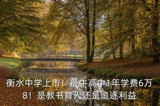 衡水中學學費一年有多少,衡水中學學費曝光