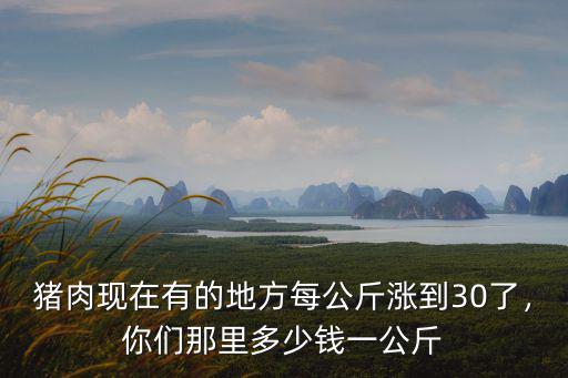 豬肉現(xiàn)在有的地方每公斤漲到30了，你們那里多少錢一公斤