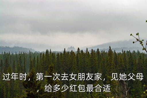 過年時，第一次去女朋友家，見她父母，給多少紅包最合適