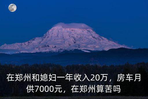 鄭州小妮一年收入多少錢,在鄭州和媳婦一年收入20萬