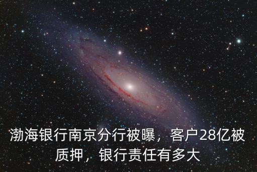 渤海銀行鄭州市支行怎么樣,渤海銀行南京分行被曝