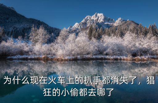 成都小偷偷電瓶車到哪里去了,電瓶車被偷了怎么辦