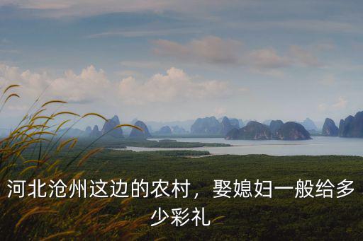 滄州謝娘禮多少錢,河北滄州的彩禮要多少錢