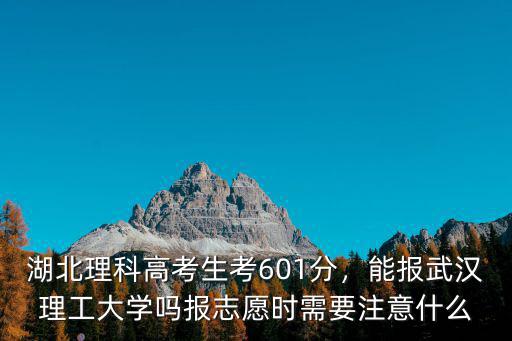 湖北理科高考生考601分，能報武漢理工大學嗎報志愿時需要注意什么