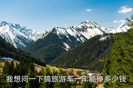 我想問一下搞旅游車一年能掙多少錢