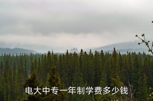 安慶電大學費多少,電大中專一年制學費多少錢