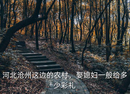 滄州預(yù)訂婚禮酒席多少錢,滄州結(jié)婚一般給多少彩禮錢