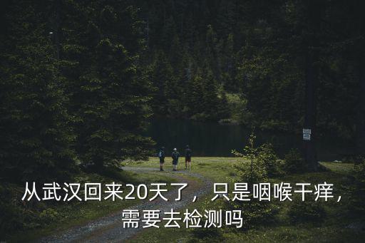 從武漢回家怎么報備,被困在外地武漢人怎么回家