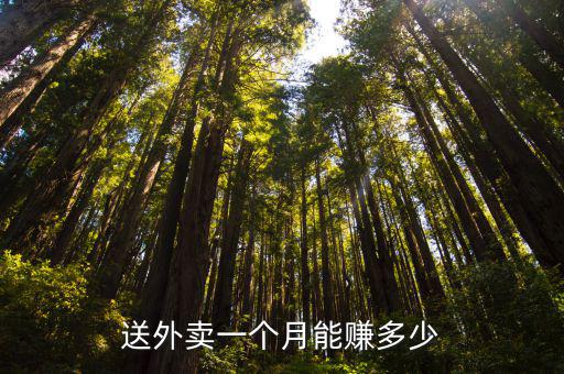 亳州市送外賣一個月能賺多少,送外賣一個月能賺多少