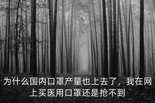 為什么國內口罩產量也上去了，我在網上買醫用口罩還是搶不到