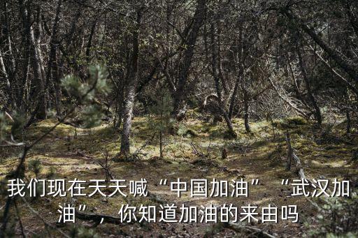 我們現在天天喊“中國加油”“武漢加油”，你知道加油的來由嗎