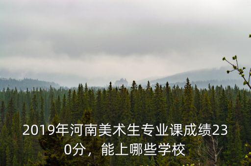 2019年河南美術生專業課成績230分，能上哪些學校