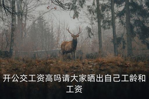 開公交工資高嗎請大家曬出自己工齡和工資