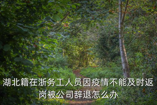 湖北不能按時返工人員怎么辦,如果不能按時到怎么辦