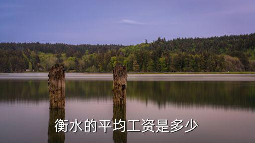 衡水的平均工資是多少