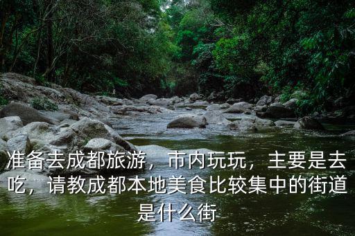 成都本地美食一條街在哪里,四川成都有美食一條街嗎