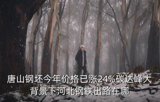 唐山鋼坯今年價格已漲24%碳達峰大背景下河北鋼鐵出路在哪
