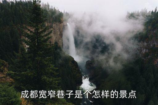 成都哪里巷子有女,成都寬窄巷子是個怎樣的景點