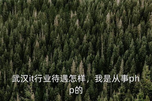 武漢it公司待遇怎么樣,武漢小米公司待遇怎么樣