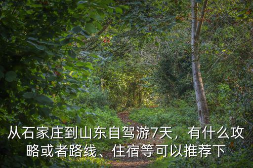 黃巖到石家莊自駕游多少小時,從石家莊到山東自駕游7天
