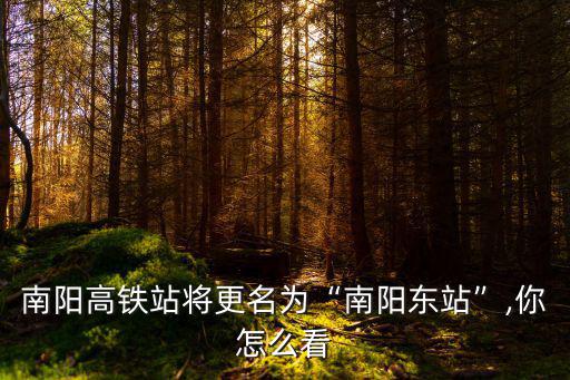 南陽高鐵站將更名為“南陽東站”,你怎么看