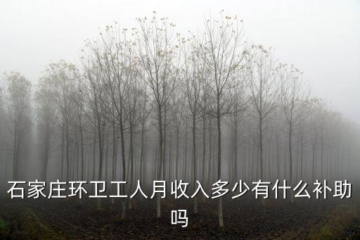 石家莊新華區環衛工人每月工資多少,石家莊環衛工人月收入多少