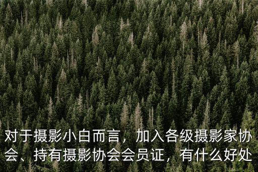 安徽省攝影家協會會費是多少,加入各級攝影家協會