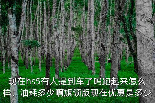 合肥紅旗hs5現(xiàn)在價格優(yōu)惠多少,旗領(lǐng)版現(xiàn)在優(yōu)惠是多少