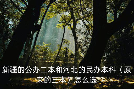 新疆的公辦二本和河北的民辦本科（原來(lái)的三本）怎么選