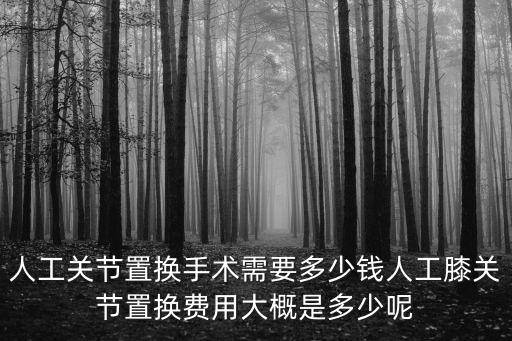 人工關節置換手術需要多少錢人工膝關節置換費用大概是多少呢