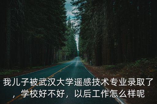 武漢大學小學怎么樣,武漢大學在全國怎么樣