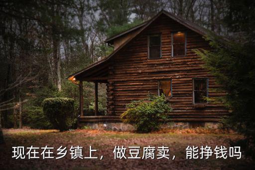 在鄭州做豆腐坊怎么樣,做豆腐生意的收入怎么樣