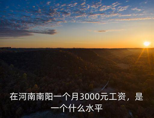在河南南陽一個月3000元工資，是一個什么水平
