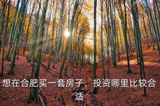 合肥哪里有全套多少錢(qián),你那里買(mǎi)一套房需要多少錢(qián)