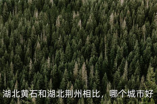 湖北黃石和湖北荊州相比，哪個(gè)城市好