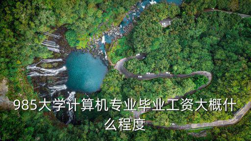 985大學(xué)計(jì)算機(jī)專業(yè)畢業(yè)工資大概什么程度