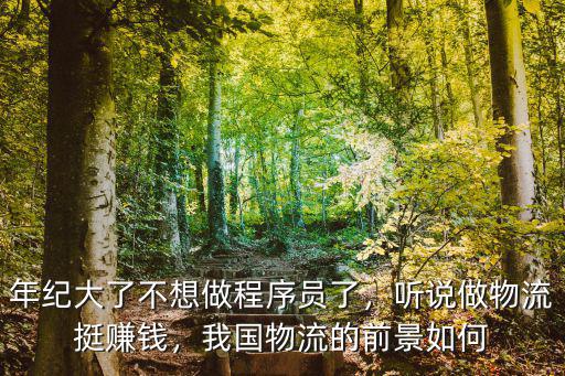 武漢小藥要做物流怎么樣,武漢國際物流前景怎么樣