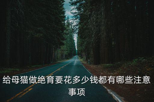 亳州公貓做絕育多少錢,公貓絕育多少錢