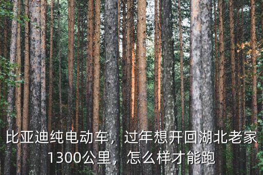 比亞迪純電動車，過年想開回湖北老家1300公里，怎么樣才能跑