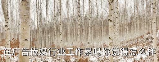 湖北大風傳媒廣告怎么樣,怎樣做廣告傳媒公司