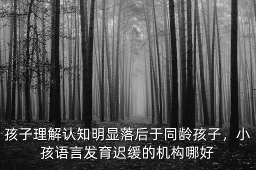 孩子理解認知明顯落后于同齡孩子，小孩語言發育遲緩的機構哪好