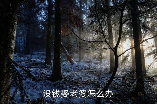 河南人沒錢娶媳婦怎么辦,沒錢怎么樣娶媳婦