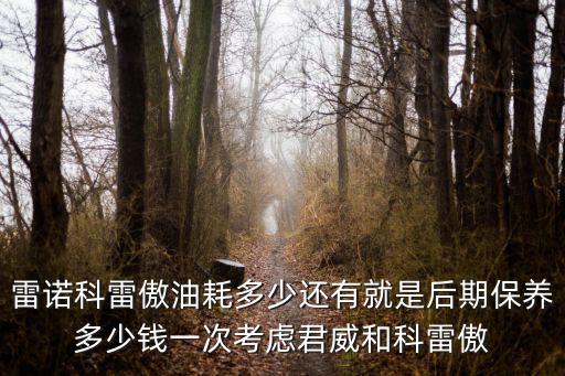 合肥雷諾科雷傲多少錢,雷諾科雷傲油耗多少