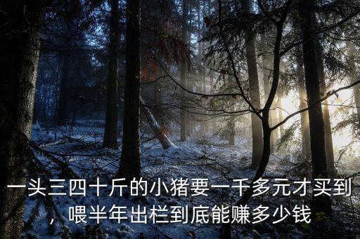 淮北小豬多少錢(qián),現(xiàn)在小豬仔多少錢(qián)